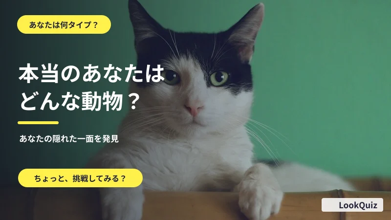 本当のあなたはどんな動物？ — あなたの隠れた一面を発見