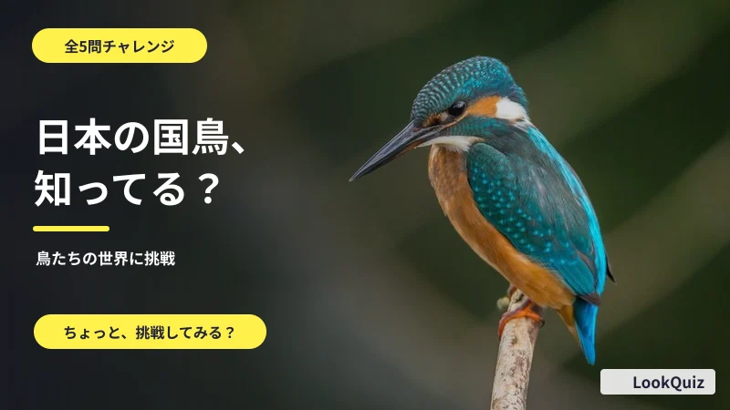 日本の国鳥、知ってる? — 鳥たちの世界に挑戦
