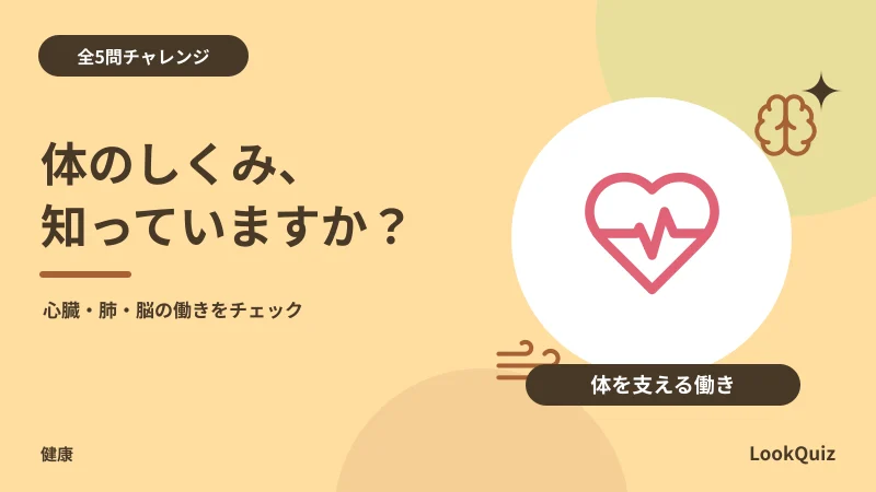 体のしくみ、知っていますか？ — 心臓・肺・脳の働きをチェック