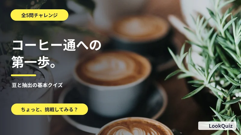 コーヒー通への第一歩。 — 豆と抽出の基本クイズ