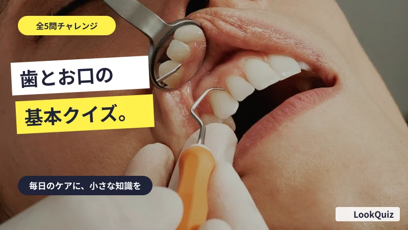 歯とお口の基本クイズ。 — 毎日のケアに、小さな知識を