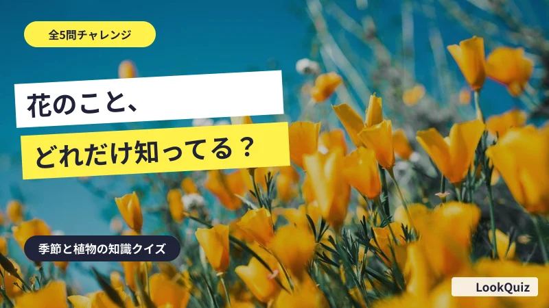 花のこと、どれだけ知ってる? — 季節と植物の知識クイズ
