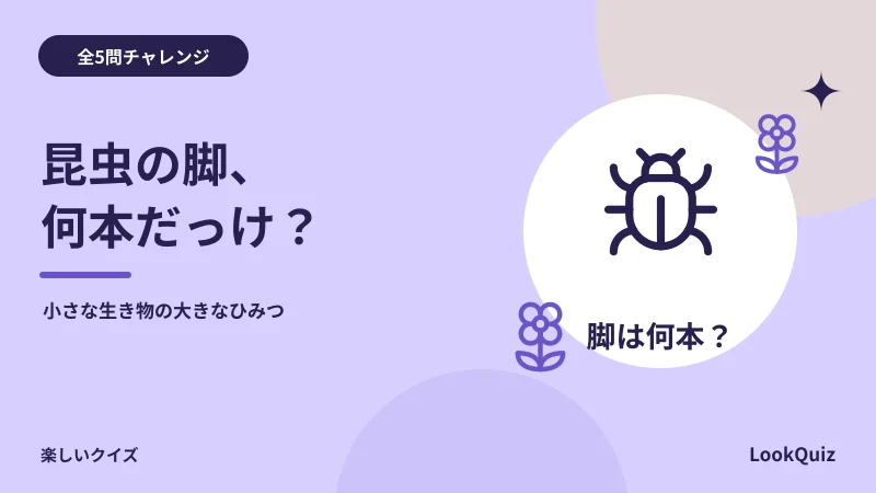 昆虫の脚、何本だっけ？ — 小さな生き物の大きなひみつ