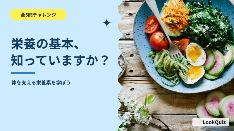 栄養の基本、3問で確認! — 体を支える栄養素を学ぼう