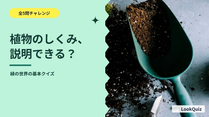 植物のしくみ、説明できる? — 緑の世界の基本クイズ