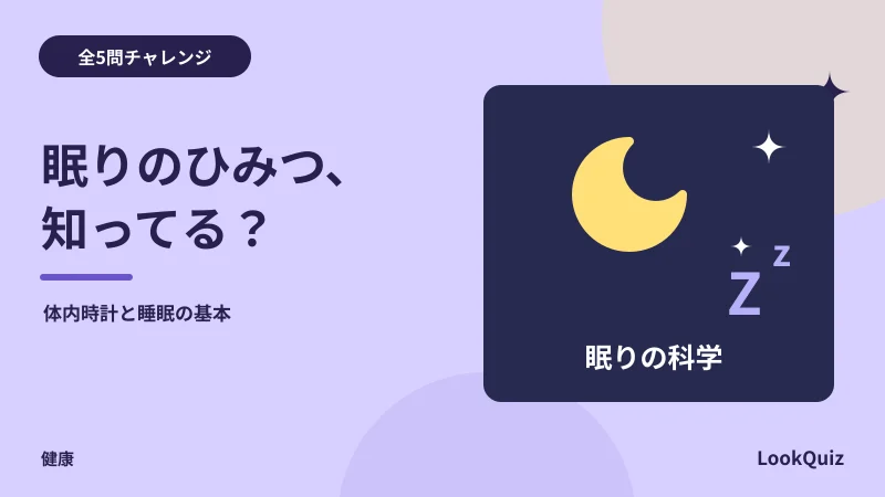 眠りのひみつ、知ってる? — 体内時計と睡眠の基本