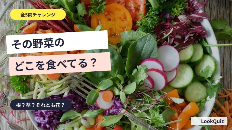 その野菜のどこを食べてる? — 根?茎?それとも花?